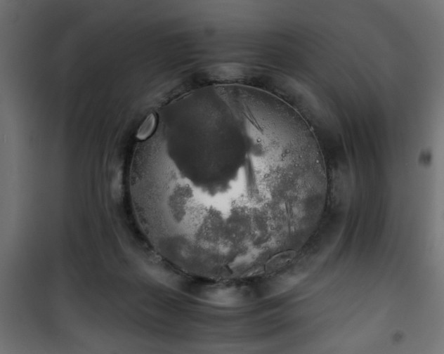 X0000101390267200807141140