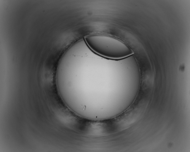 X0000101390268200807141140