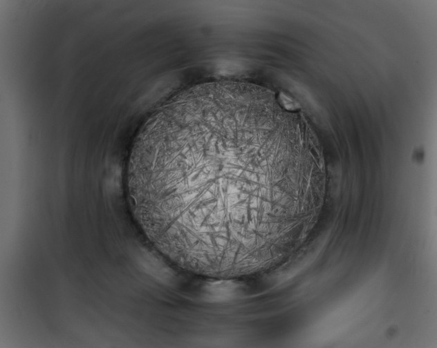 X0000101390269200807141140