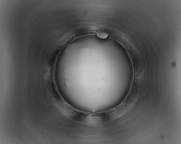 X0000101390270200807141140