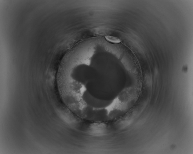 X0000101390271200807141140