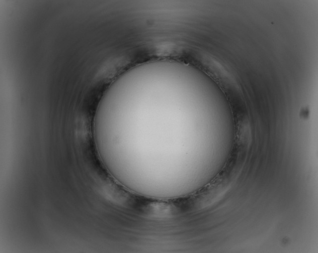 X0000101390272200807141140