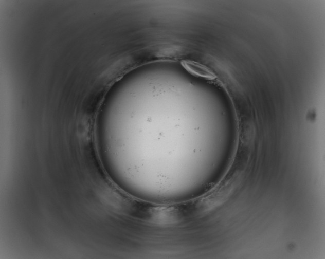 X0000101390273200807141140