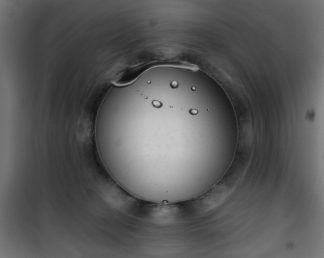 X0000101390274200807141140