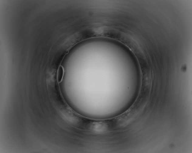 X0000101390275200807141140