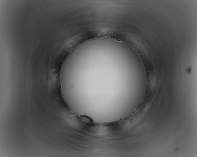 X0000101390276200807141140