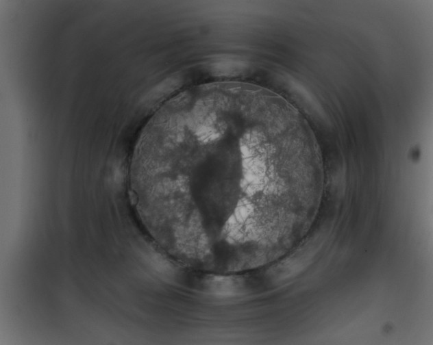 X0000101390277200807141140