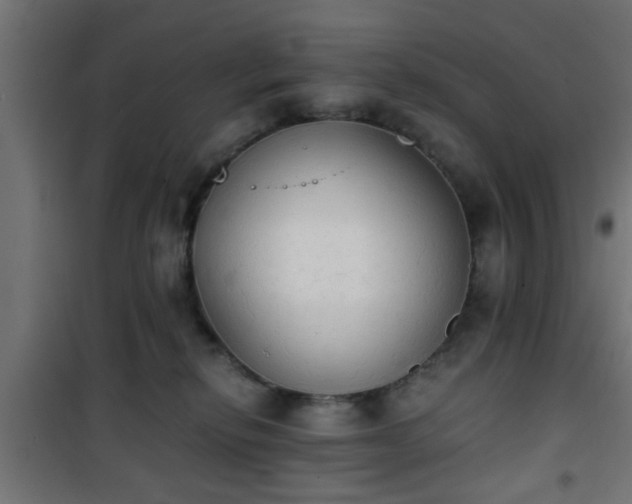 X0000101390278200807141140