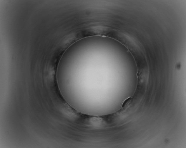 X0000101390279200807141140