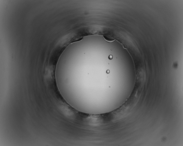 X0000101390280200807141140