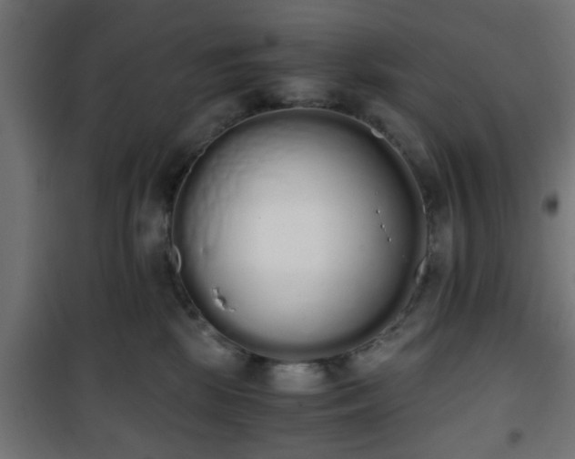 X0000101390281200807141140