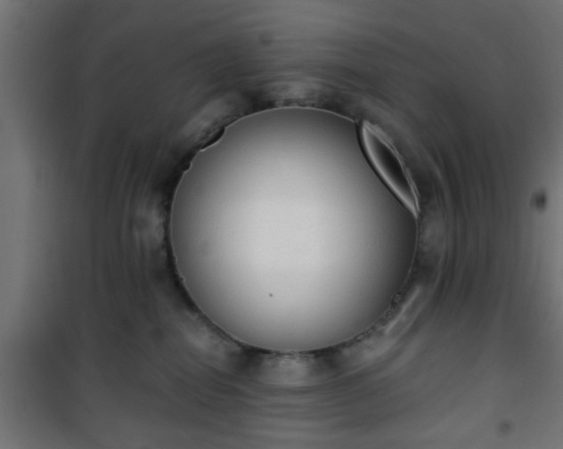 X0000101390282200807141140