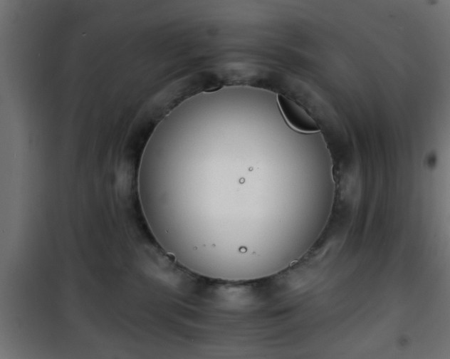 X0000101390283200807141140