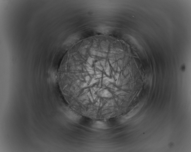 X0000101390285200807141140