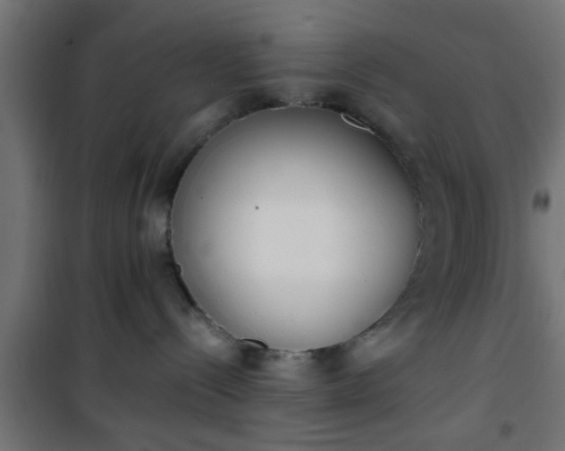 X0000101390288200807141140