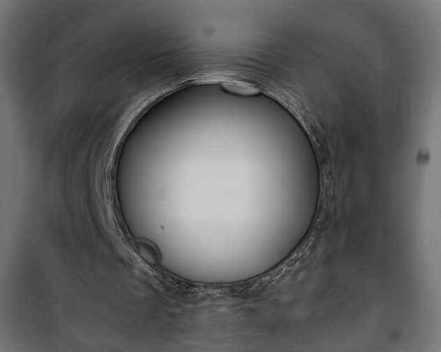 X0000101390289200807141139