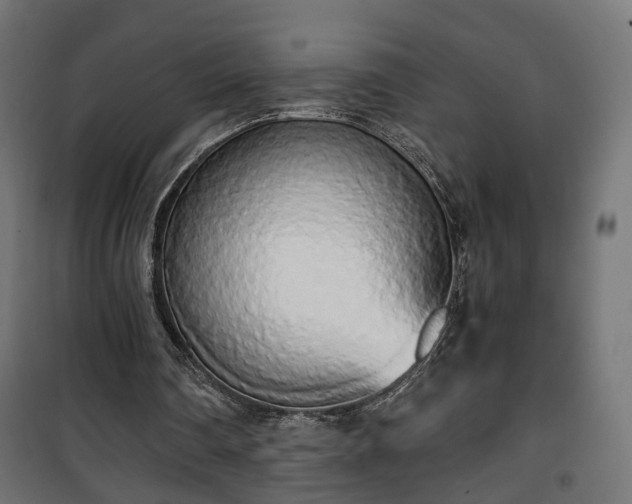 X0000101390290200807141139