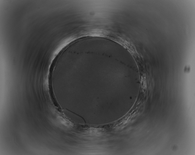 X0000101390292200807141139