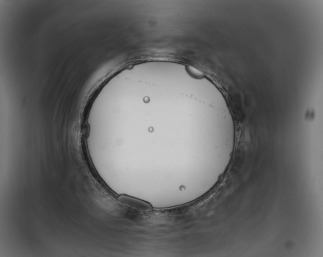 X0000101390293200807141139