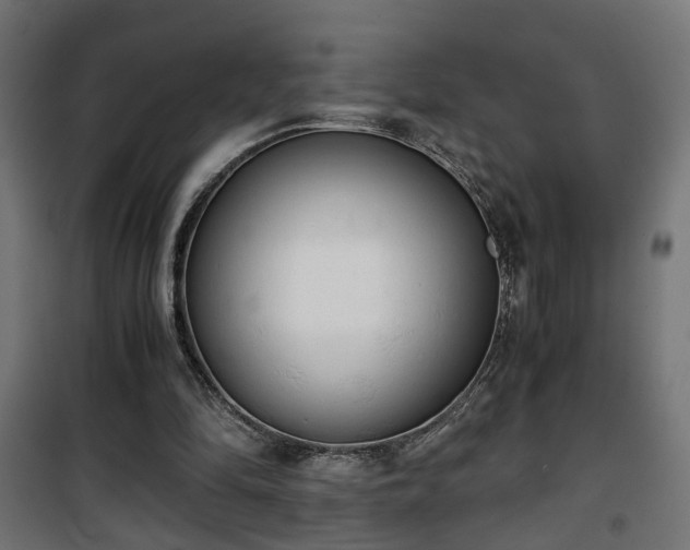 X0000101390294200807141139