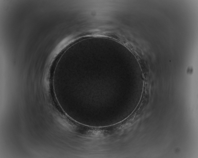 X0000101390295200807141139