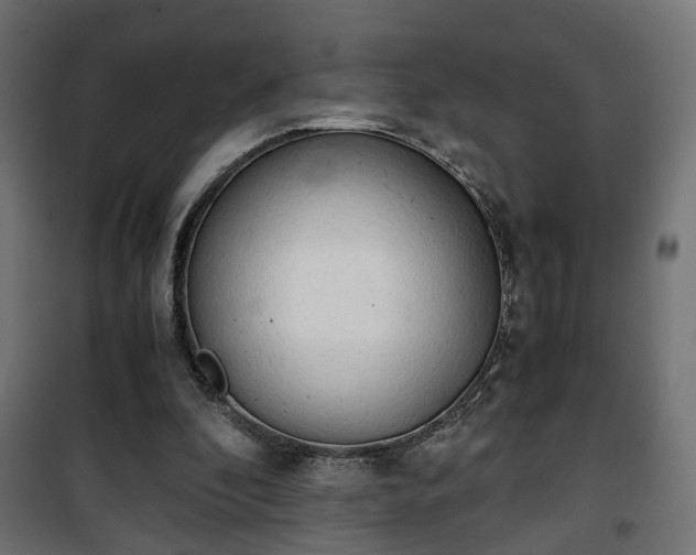 X0000101390296200807141139