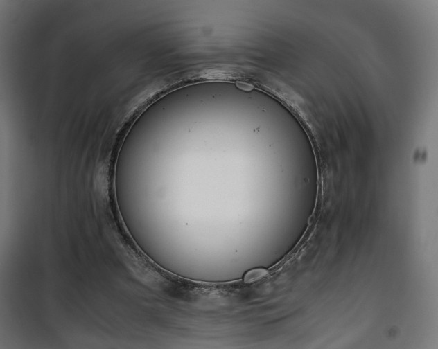 X0000101390297200807141139