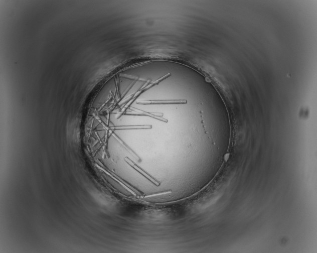 X0000101390299200807141139
