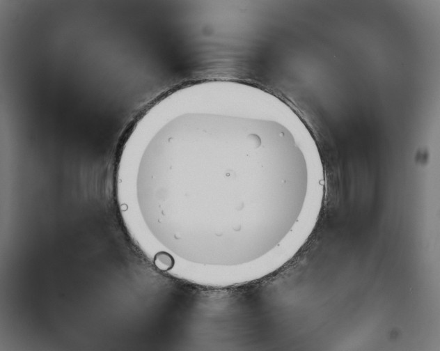 X0000101390301200807141139