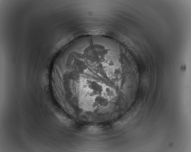 X0000101390303200807141139