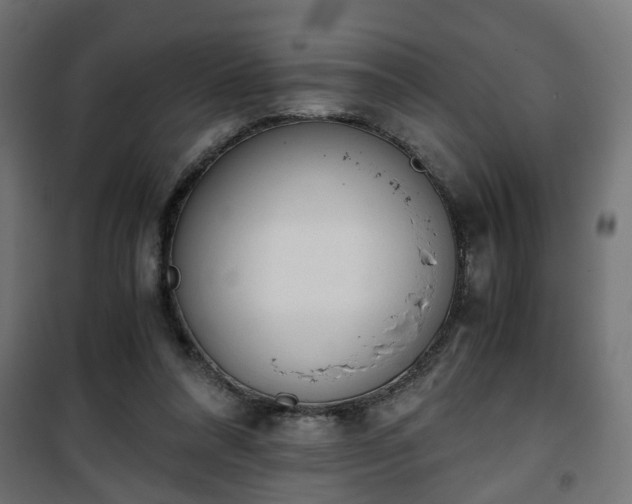 X0000101390304200807141139