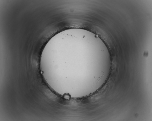 X0000101390305200807141139