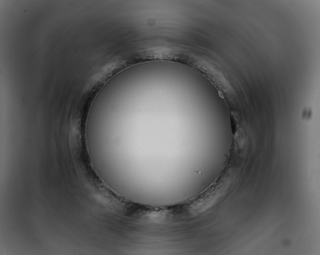 X0000101390306200807141139