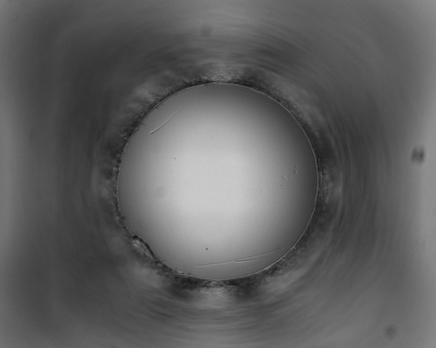 X0000101390307200807141139