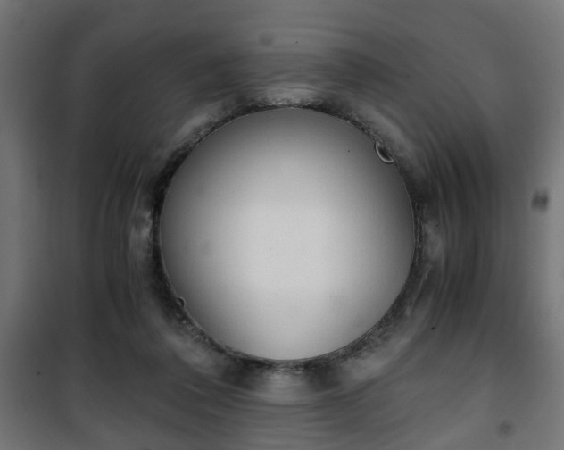 X0000101390308200807141139