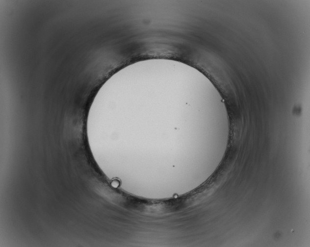 X0000101390309200807141139