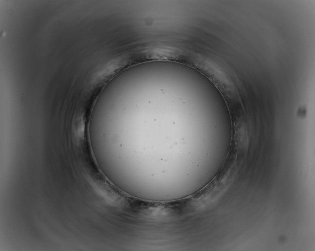 X0000101390310200807141139