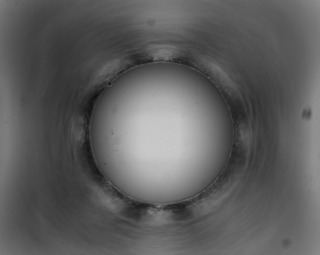 X0000101390311200807141139