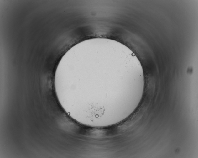 X0000101390313200807141139