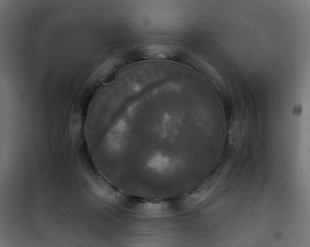 X0000101390314200807141139