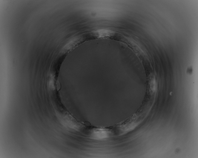 X0000101390316200807141139