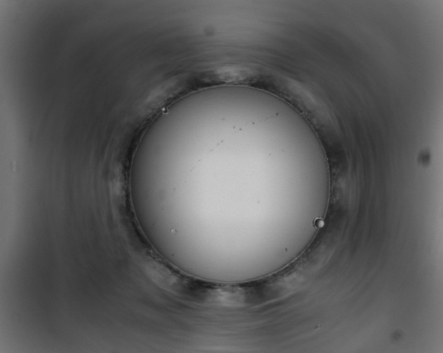 X0000101390317200807141139