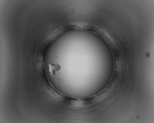 X0000101390318200807141139