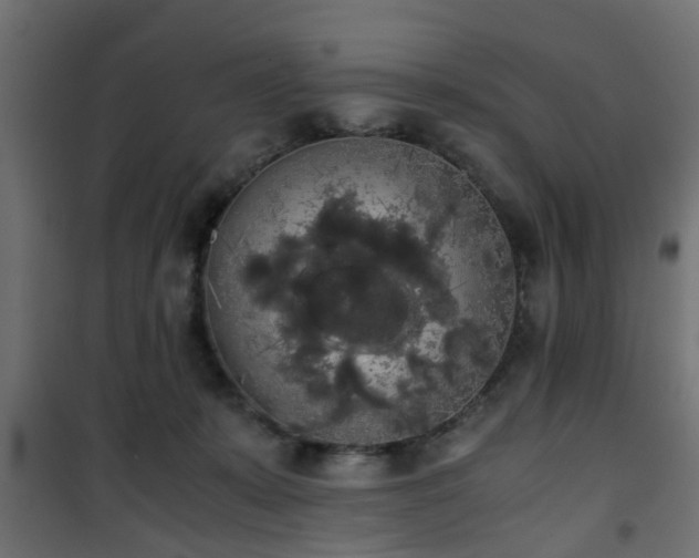 X0000101390319200807141139