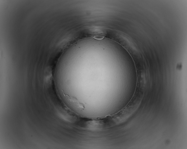 X0000101390320200807141139