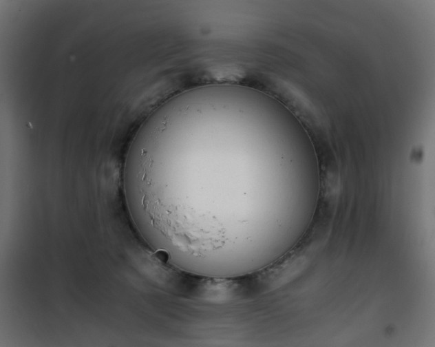 X0000101390321200807141139