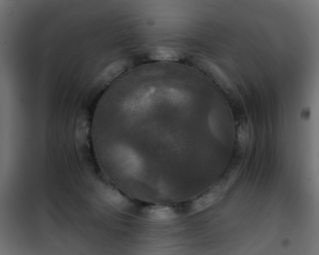 X0000101390322200807141139