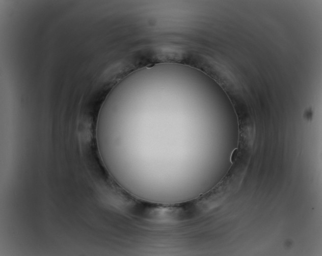 X0000101390323200807141139