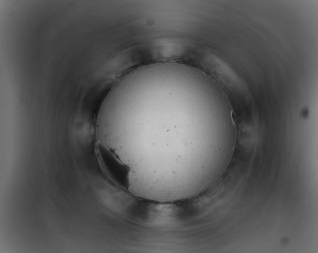 X0000101390324200807141139