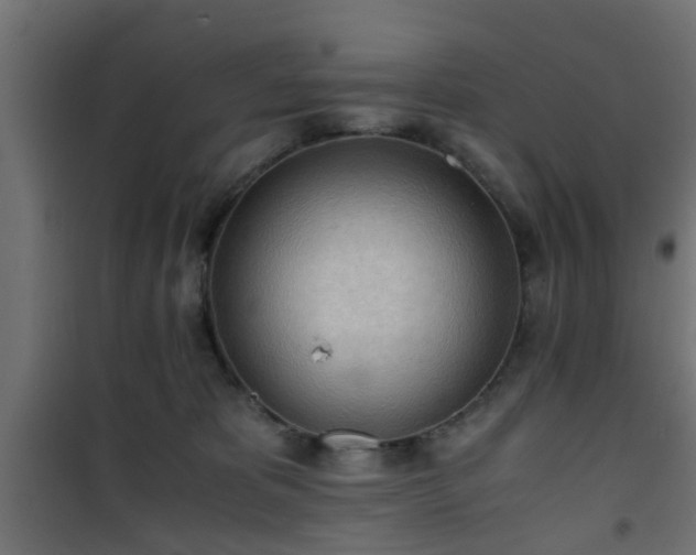 X0000101390325200807141139